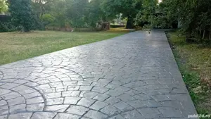 Vand vila cu valoare istorica in zona Iosif Vulcan - imagine 5