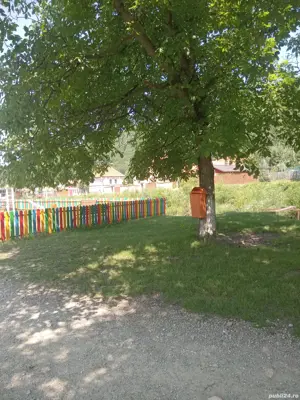 Casă și teren intravilan in Teliu - imagine 7