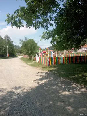 Casă și teren intravilan in Teliu - imagine 6