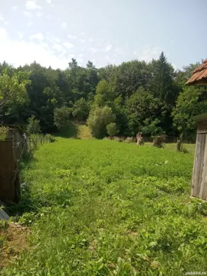 Casă și teren intravilan in Teliu - imagine 4