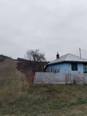 Vand Casa in comuna Dobretu - imagine 3 Vand Casa in comuna Dobretu - imagine 3