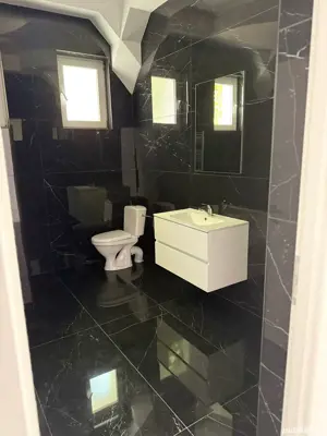 Vand vila cu valoare istorica in zona Iosif Vulcan - imagine 8