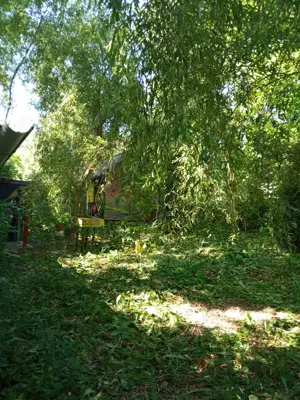 Teren Varbilau (Slanic) Prahova impadurit superb si casuta lemn -VARIANTE Auto Diverse Accept Crypto - imagine 7