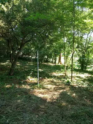 Teren Varbilau (Slanic) Prahova impadurit superb si casuta lemn -VARIANTE Auto Diverse Accept Crypto - imagine 8