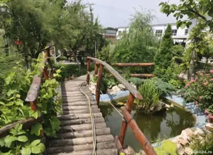 vind casa Walter Maracineanu - imagine 2