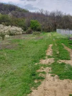 Teren Topoloveni - 3670 mp - langa padure, aproape de Centrul orasului  - imagine 4