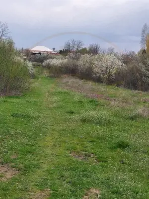 Teren Topoloveni - 3670 mp - langa padure, aproape de Centrul orasului  - imagine 3