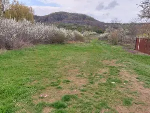 Teren Topoloveni - 3670 mp - langa padure, aproape de Centrul orasului  - imagine 2