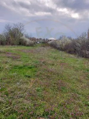 Teren Topoloveni - 3670 mp - langa padure, aproape de Centrul orasului  - imagine 5