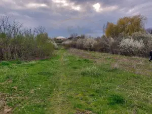 Teren Topoloveni - 3670 mp - langa padure, aproape de Centrul orasului 