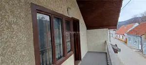 Casa individuala de vanzare in Berzasca, jud. Caras-Severin - imagine 13