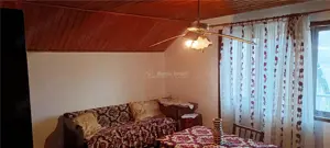 Casa individuala de vanzare in Berzasca, jud. Caras-Severin - imagine 15