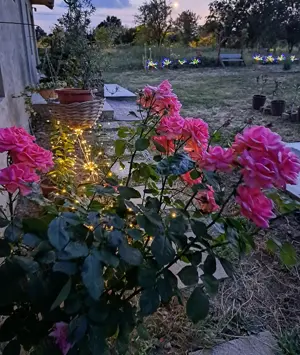 Casa cu teren 2700 mp la 22 km de Oradea - imagine 9