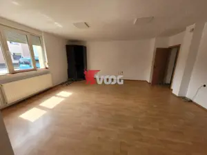 Casa pentru sediu de firma in zona Fratelia - imagine 4