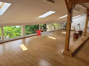 Casa pentru sediu de firma in zona Fratelia