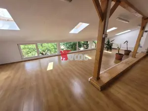 Casa pentru sediu de firma in zona Fratelia - imagine 2