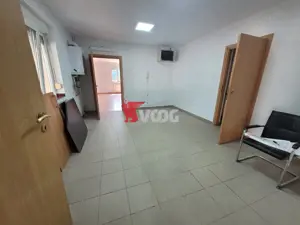 Casa pentru sediu de firma in zona Fratelia - imagine 6