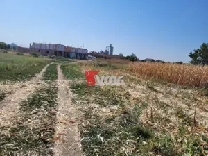 Teren intravilan Sag incepand de la 26.000! - imagine 2