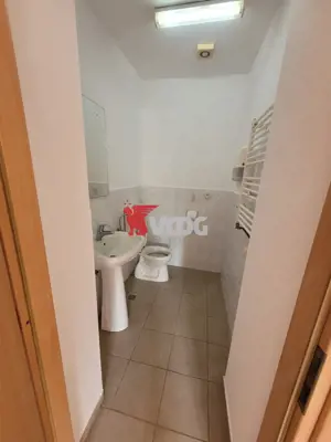 Casa pentru sediu de firma in zona Fratelia - imagine 5