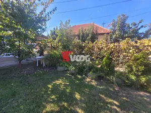 Casa in zona Muzicescu Sagului