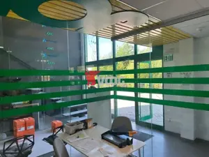 Proprietate Industriala 7000 mp hala in Calea Sagului Timisoara - imagine 6