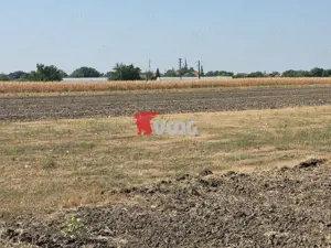 Teren intravilan Sag incepand de la 26.000! - imagine 4