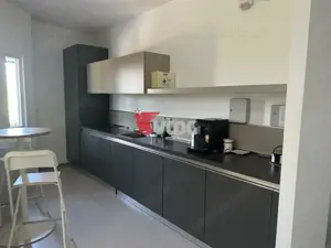 Proprietate Industriala 7000 mp hala in Calea Sagului Timisoara - imagine 13