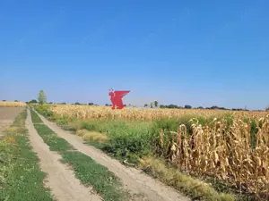 Teren parcelat cu PUZ aprobat 27.000mp - imagine 3