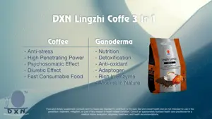 Parteneriat pentru o firmă din Malaezia