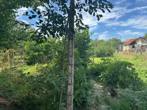 Casa de vanzare in Salonta din bca. - imagine 3