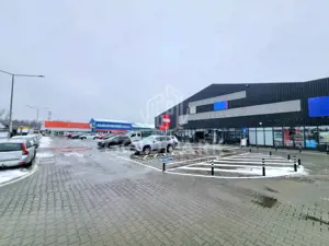 Spatiu Comercial in Centru Comercial - Zona Traian Vuia - Parcare - imagine 20