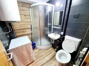 apartament cu o camera de inchiriat in zona Ultracentrala - imagine 3