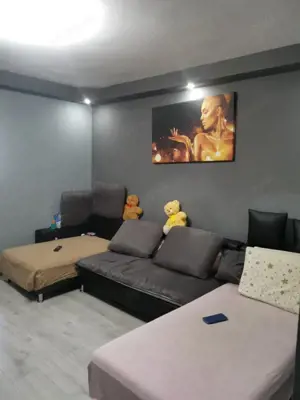 Garsoniera Brazda, 33mp, renovata recent - imagine 4