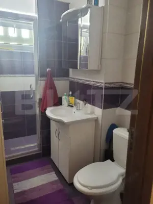 Apartament 52 mp, renovat, balcon, zonă verde și liniștită, Grigorescu - imagine 11