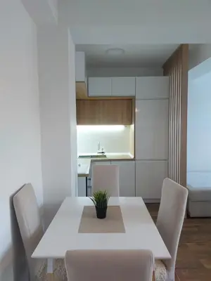 apartament o camera zona Badea Cartan - imagine 2