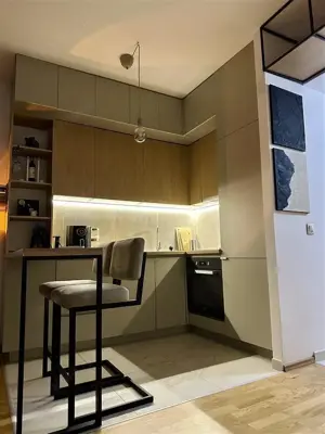 Apartament o camera de inchriat in zona Balcescu - imagine 4