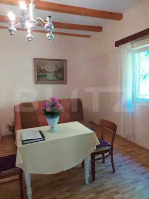 Casă P+E cu livadă și panoramă montană, 4.400 mp teren, Ocoliş - imagine 2