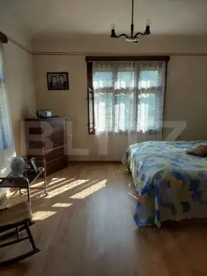 Casă P+E cu livadă și panoramă montană, 4.400 mp teren, Ocoliş - imagine 3