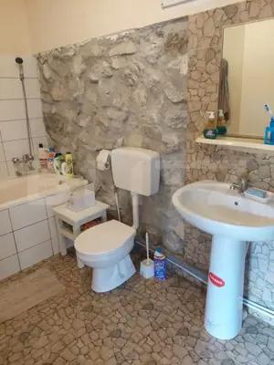 Casă P+E cu livadă și panoramă montană, 4.400 mp teren, Ocoliş - imagine 4