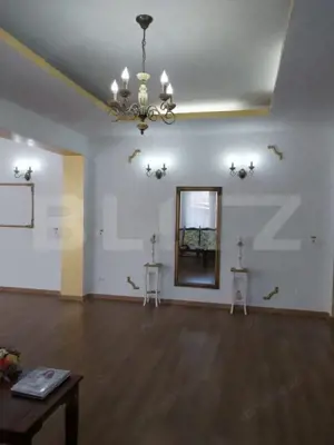 Casa D+P+E, spatiu comercial, 527 mp teren, Str Paltinis, 0% comision  - imagine 2