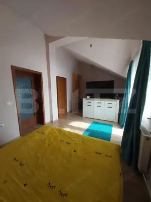 Casa D+P+E, spatiu comercial, 527 mp teren, Str Paltinis, 0% comision  - imagine 17