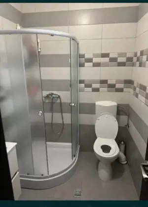 Casa 145mp , teren 345mp, zona DAMILA-SELGROS - imagine 8