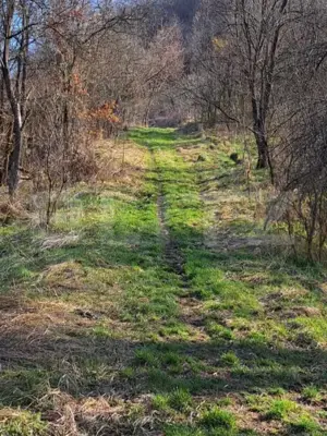 Casa cu o camera, 60 mp, in apropiere de Brad