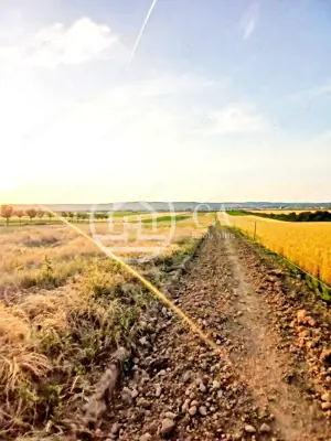 Teren intravilan de vanzare in Alparea, Bihor