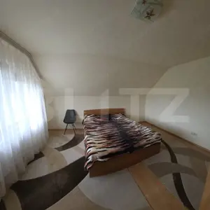 Casa de vanzare, 6 camere, 340 mp, cu 22 arii de teren, zona Viisoara  - imagine 10