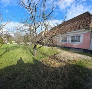 Casa saseasca de vanzare, Livezile - imagine 9