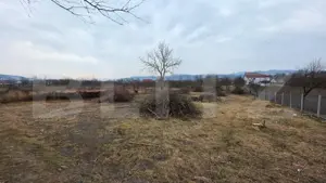 Două case de vânzare, curte comună, 4 camer 110mp, 50 ari  Cristeștii Ciceului - imagine 9