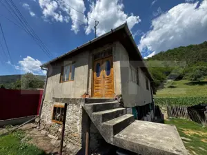 Casă cu 6000 mp teren, Poiana Ampoiului - Metes