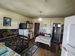 Casa renovabila 2,2 arii taren in Raciu - imagine 7