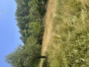 Vând teren extravilan, zonă liniștită, pretabil pentru cabana
